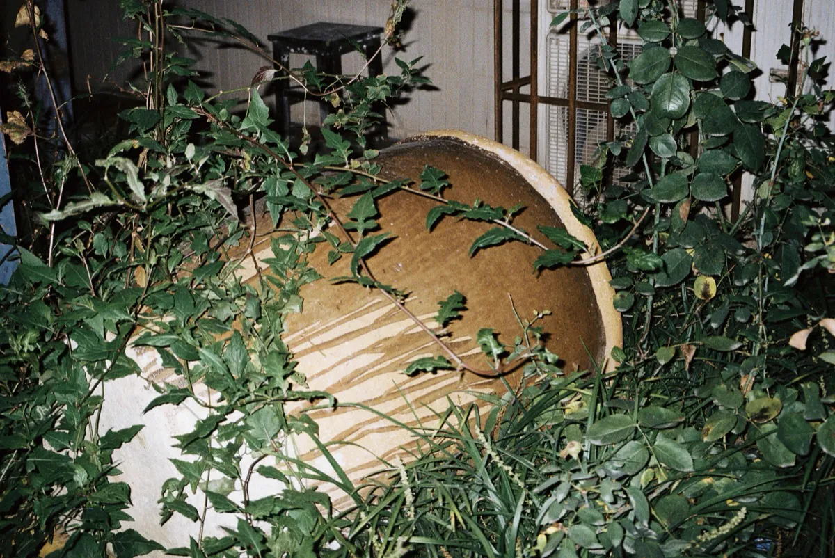 A Cocoon of Rings — 01